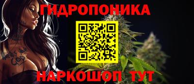 дмт Канаш