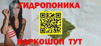 дмт Канаш