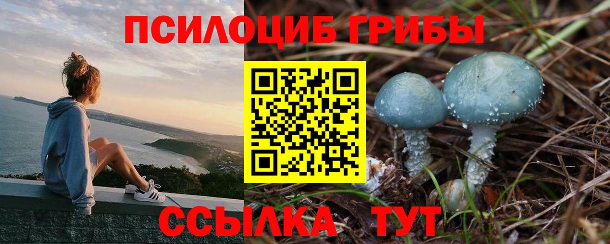 Галлюциногенные грибы Psilocybine cubensis  Вход с VPN  Кушва 